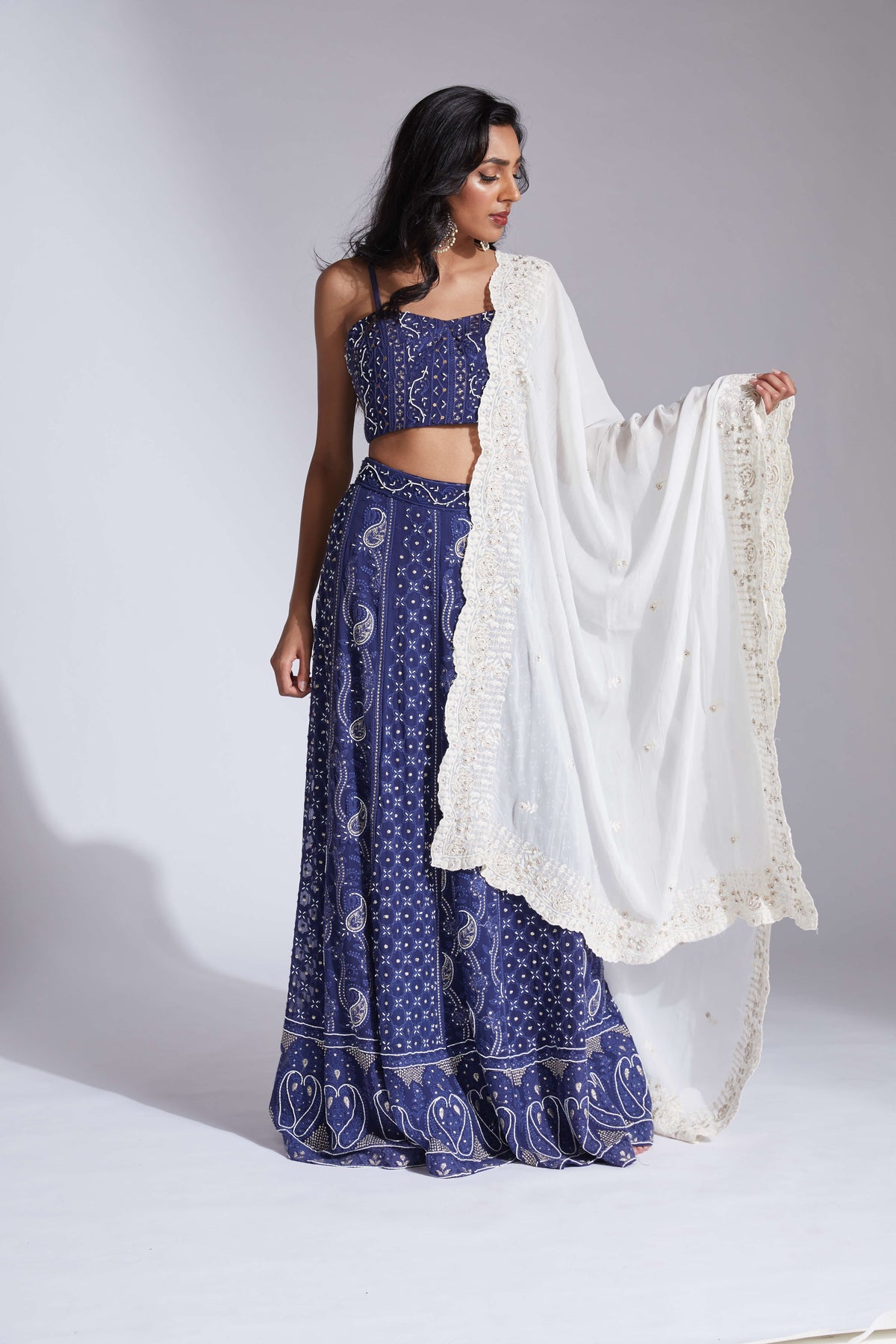 Lucknowi/chikankari blue lehenga with cutdana highlights and scallop dupatta